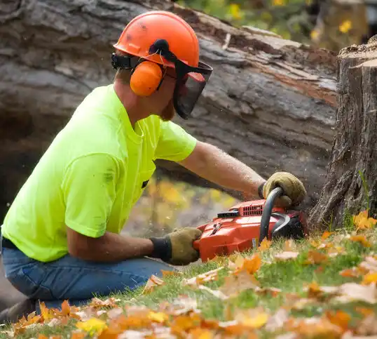 tree services Waltham